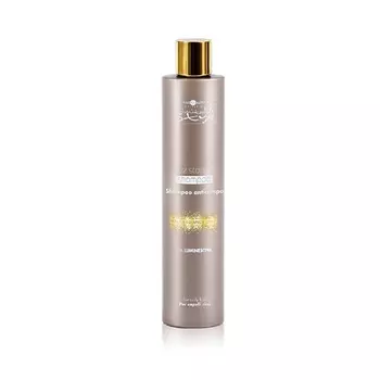 HAIR COMPANY Шампунь разглаживающий INIMITABLE STYLE 250.0