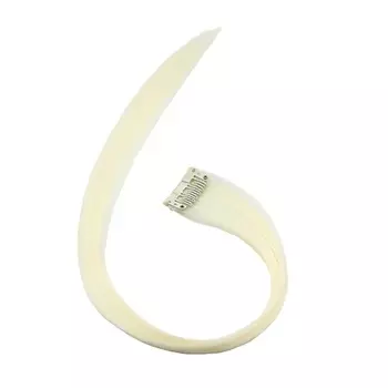 HAIRSHOP Декоративная прядь синтетическая