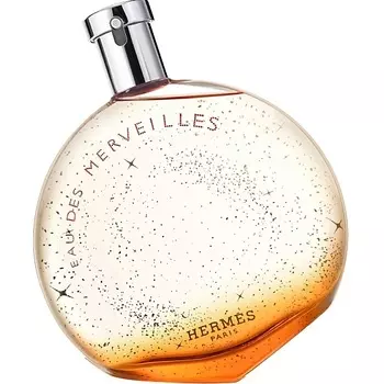 HERMS HERMES Туалетная вода Eau Des Merveilles 100.0