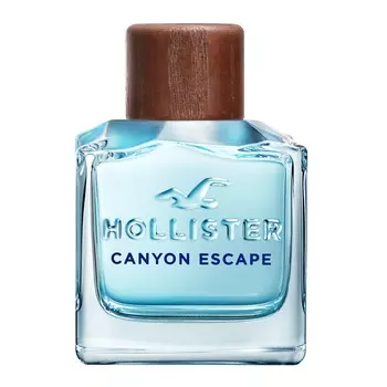 HOLLISTER Canyon Escape for Him 50