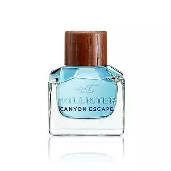 HOLLISTER Canyon Escape for Him 50