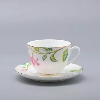 ИМПЕРАТОРСКИЙ ФАРФОРОВЫЙ ЗАВОД Чашка с блюдцем "Сад мечты"
