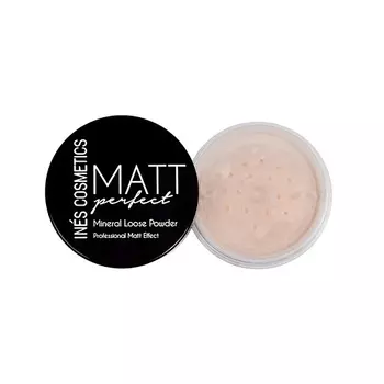INS COSMETICS Пудра Matte perfect рассыпчатая