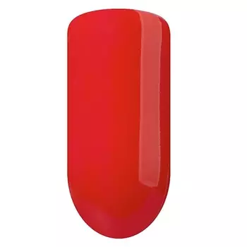 ДИВИДИК Крем для обуви САМОБЛЕСК в пластиковой банке с намазком 55.0