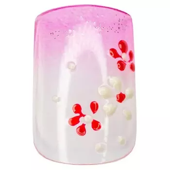 IRISK Ногти накладные с дизайном на 2 маникюра