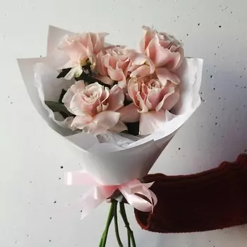 ИВА Элегантная Французская роза