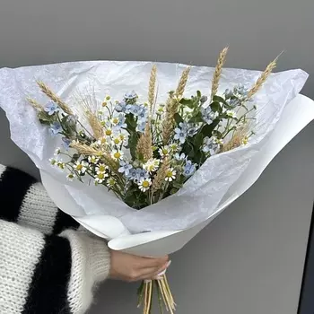 ИВА Сны о поле с ромашками и незабудками