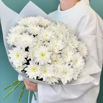 JULES FLOWER ATELIER «Boston» букет из кустовых хризантем