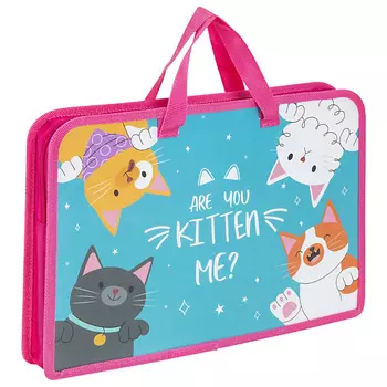 ЮНЛАНДИЯ Папка на молнии с ручками Котики