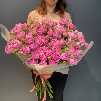 КАКТУСМАРКЕТ Роза кустовая пионовидная MistyBubbls