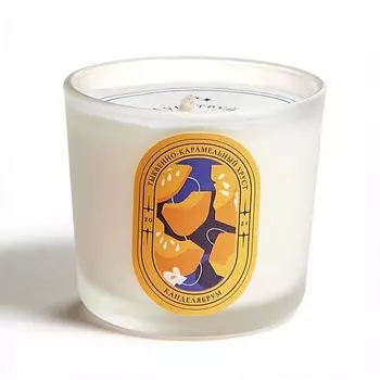 КАНДЕЛЯБРУМ Ароматическая свеча Тыквеннокарамельный хруст