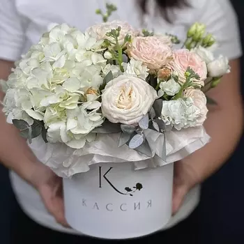 КАССИЯ Коробочка Невинность