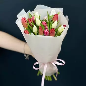 КАССИЯ Тюльпаны 19штук