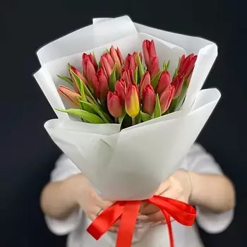 КАССИЯ Тюльпаны 23 штуки