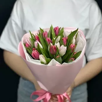 КАССИЯ Тюльпаны 25шт