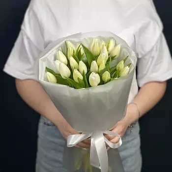 КАССИЯ Тюльпаны 25штук