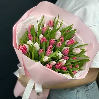 КАССИЯ Тюльпаны 51 штука