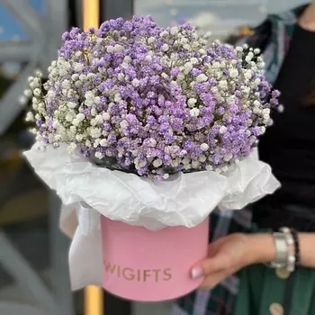 KIWIGIFTS Букет цветов живые Гипсофилы