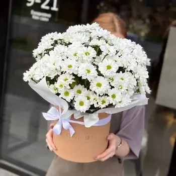 KIWIGIFTS Букет цветов живые Хризантема кустовая