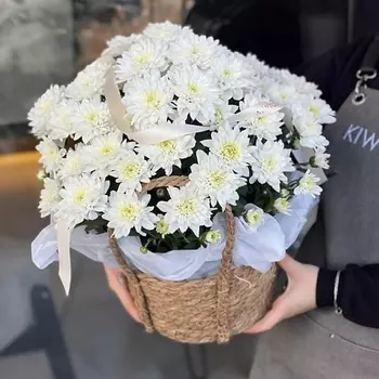 KIWIGIFTS Букет цветов живые Хризантема кустовая
