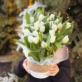 KIWIGIFTS Букет цветов живые Тюльпаны