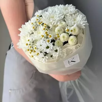 KLUMBA Ласточка