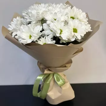 КЛУМБА Ромашковая хризантема