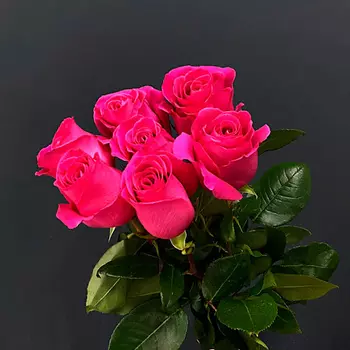 KLUMBATOMSKRU Букет из 7 роз