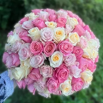 КОЛИБРИ ЦВЕТОЧНЫЙ САЛОН 101 Роза микс Эквадор Премиум