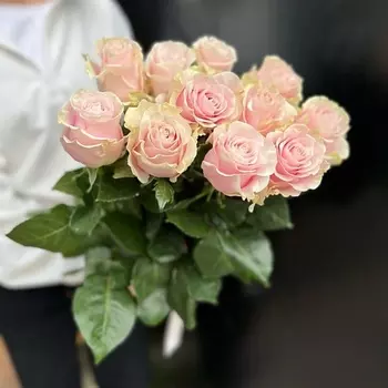 КОЛИБРИ ЦВЕТОЧНЫЙ САЛОН 11 роз 60см