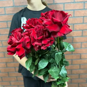 КОЛИБРИ ЦВЕТОЧНЫЙ САЛОН 7 красных французских роз