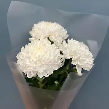 КОЛИБРИ ЦВЕТОЧНЫЙ САЛОН Букет из стойких хризантем