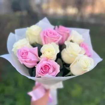 КОЛИБРИ ЦВЕТОЧНЫЙ САЛОН Моно букет "Симпатия"