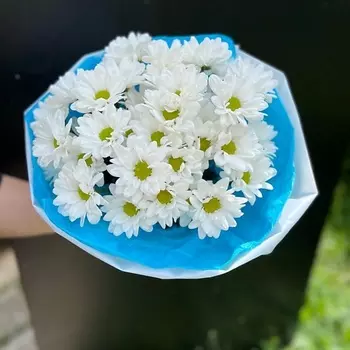 КОЛИБРИ ЦВЕТОЧНЫЙ САЛОН Романтичные ромашки