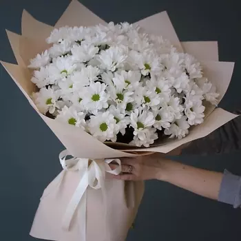 КОЛИБРИ ЦВЕТОЧНЫЙ САЛОН Романтика