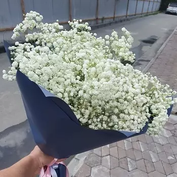 KOZU COLORS Монобукет из Гипсофилы