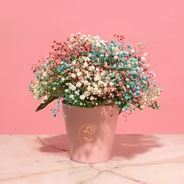 Л'Этуаль Flowers Радужная дымка