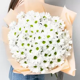 Л'Этуаль Flowers Ромашковое поле 11 шт.