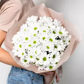 Л'Этуаль Flowers Ромашковое поле 9 шт.