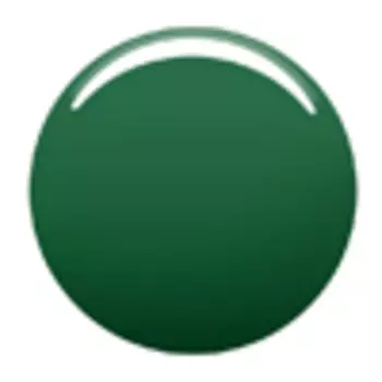 L'ORAL PARIS L'OREAL Лак для ногтей Color Riche Nail