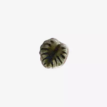 LA PALME ARTISAN CERAMICA Брошь-значок из керамики Монстера