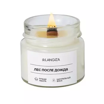 LANGIZA Свеча ароматическая Лес после дождя 1.0