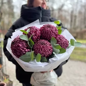 LE BOUQUET Роскошный букет из фиолетовых хризантем