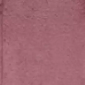 LE ROUGE FRANСAIS Рефил помады для губ Le Nude Tinctorial 0