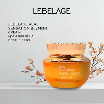 LEBELAGE Крем от пигментных пятен REAL SENSATION BLEMISH CREAM 50.0