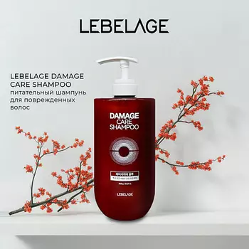 LEBELAGE Шампунь для волос DAMAGE CARE SHAMPOO