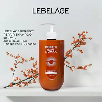 LEBELAGE Шампунь для волос PERFECT REPAIR SHAMPOO