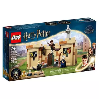 LEGO Конструктор Harry Potter Hogwarts: First Flying Lesson
