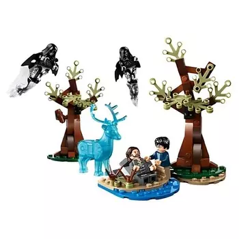 LEGO Конструктор Harry Potter Защита зверя