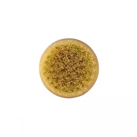 LEI Массажная щетка для сухого массажа, круглая, тампико с покрытием